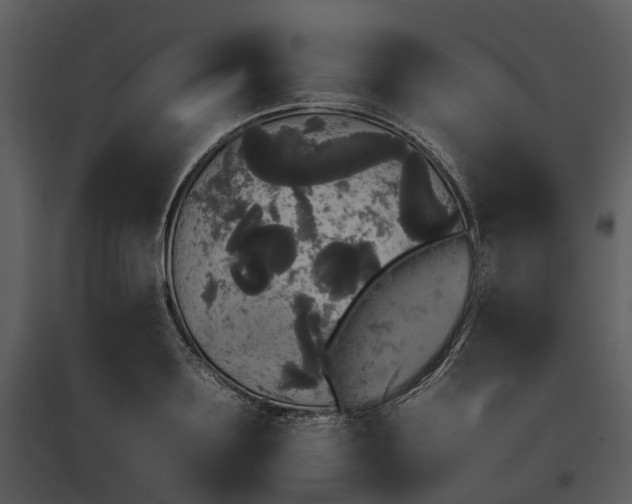 X0000095670891200801151101