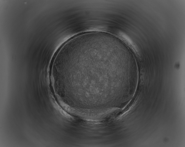 X0000095670892200801151101