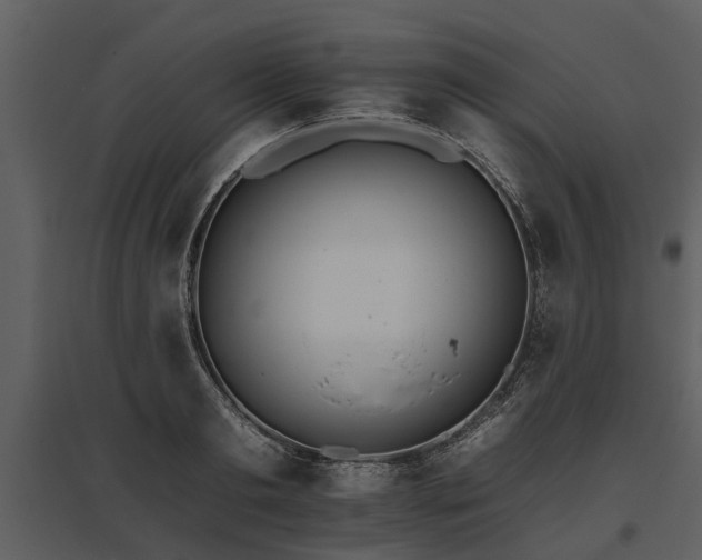 X0000095670893200801151101