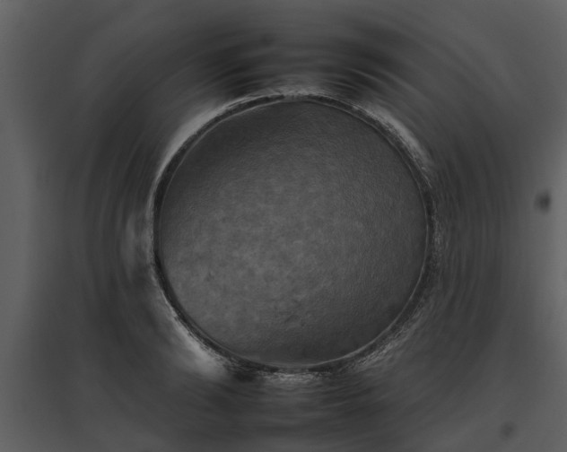 X0000095670894200801151101