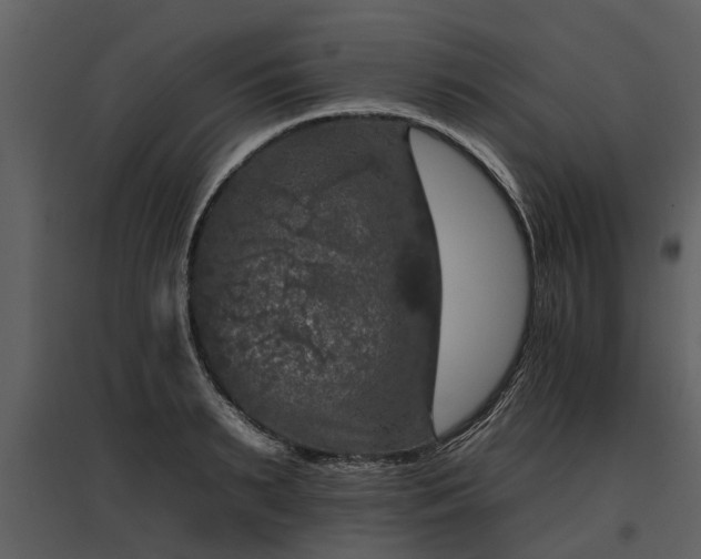 X0000095670895200801151101