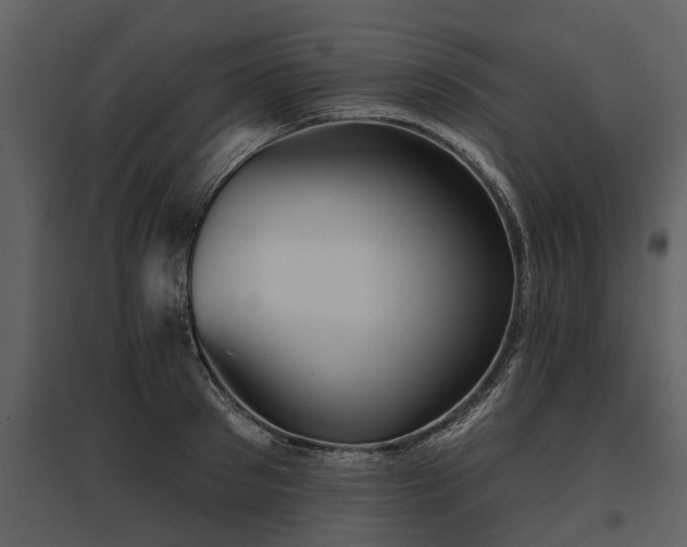 X0000095670897200801151101