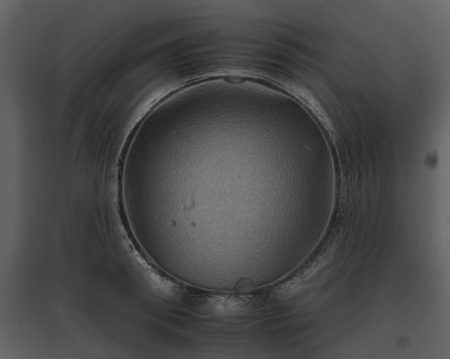 X0000095670898200801151101