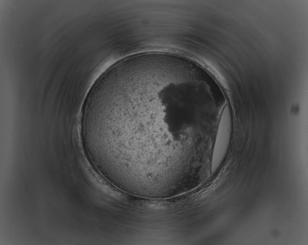 X0000095670899200801151101