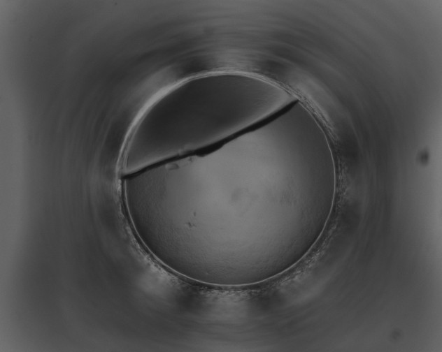 X0000095670900200801151101