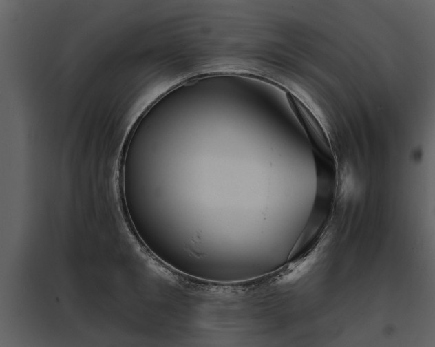 X0000095670901200801151101