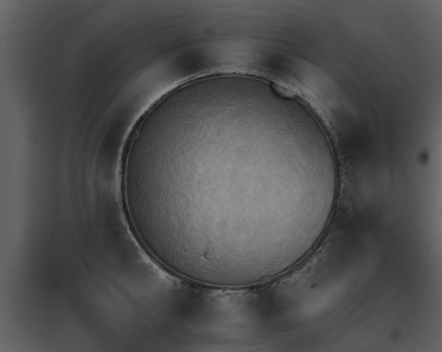 X0000095670902200801151101