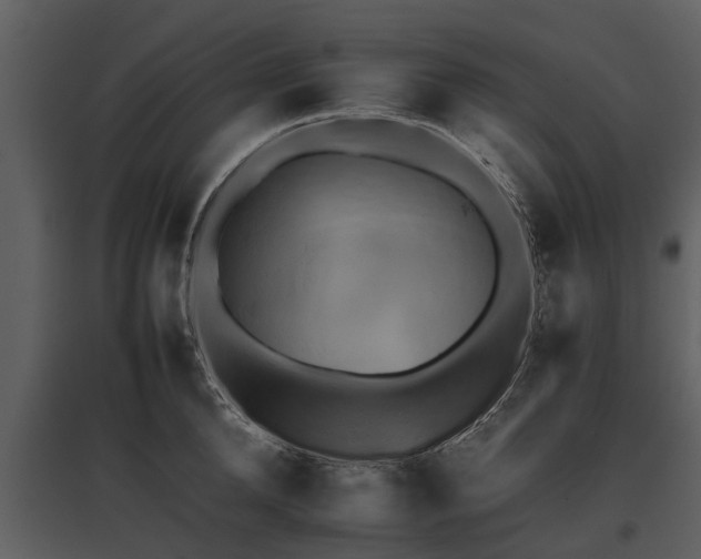 X0000095670904200801151101