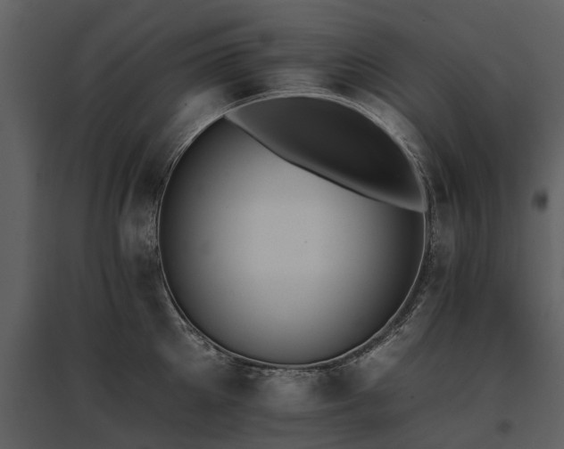 X0000095670905200801151101