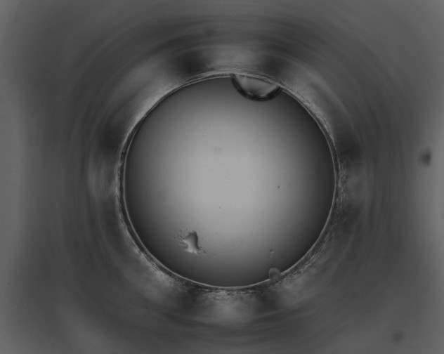 X0000095670906200801151101