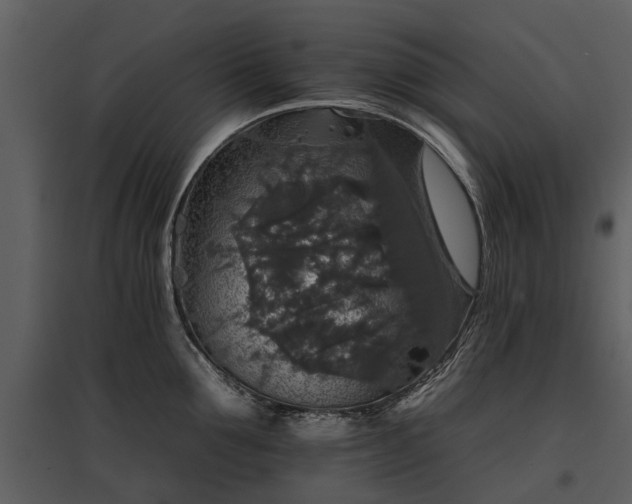 X0000095670907200801151101