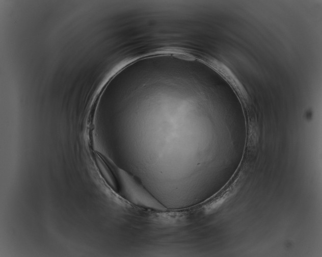 X0000095670908200801151101