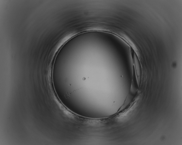 X0000095670909200801151101