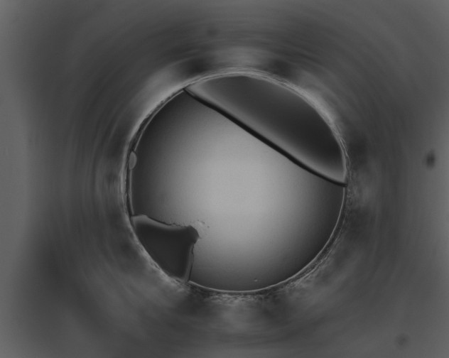 X0000095670910200801151101