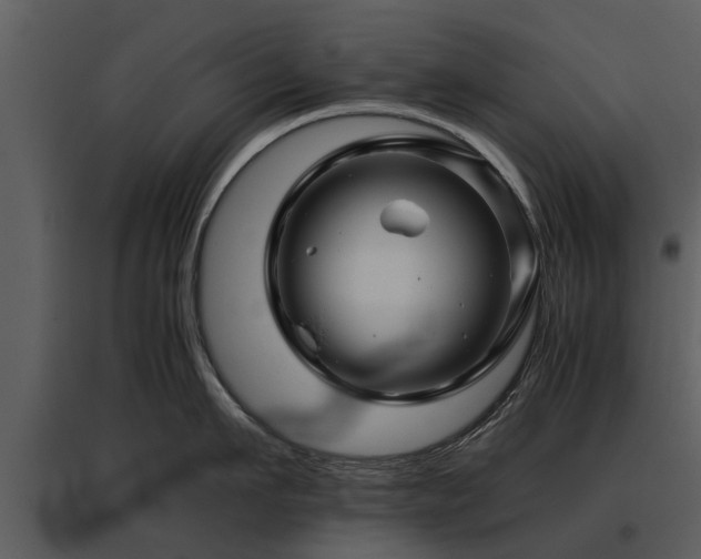 X0000095670911200801151101