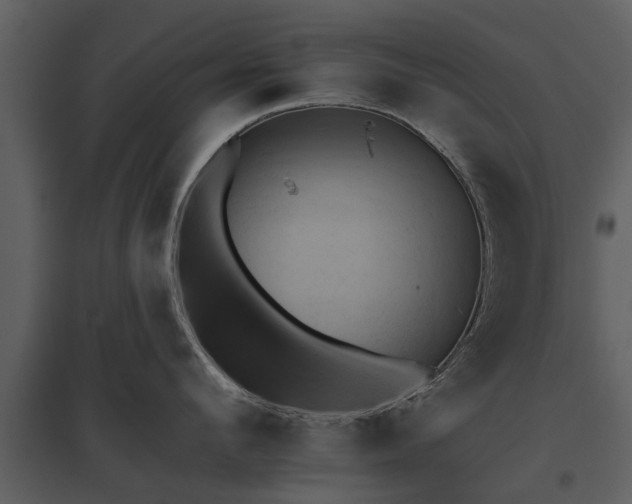 X0000095670912200801151101