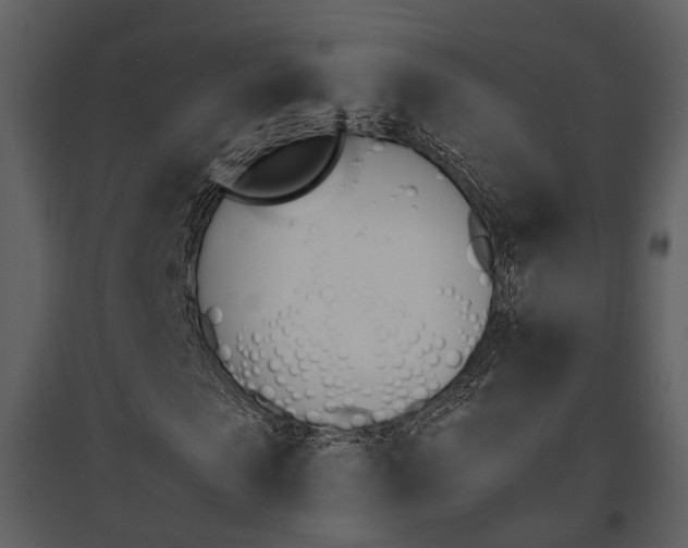 X0000095670913200801151100