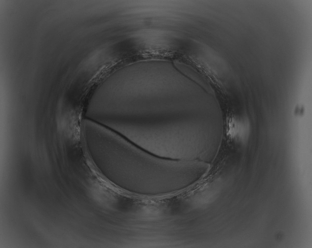 X0000095670915200801151100