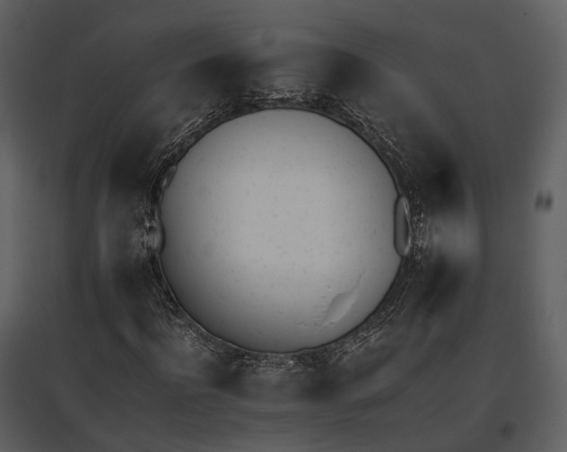 X0000095670916200801151100