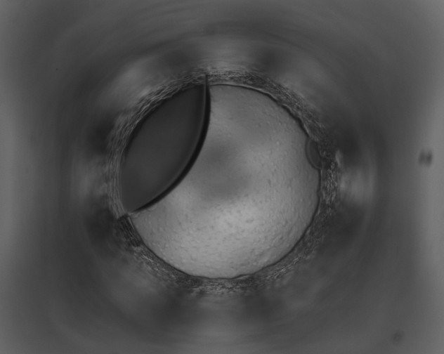 X0000095670917200801151100