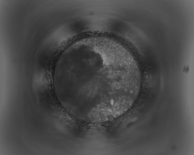 X0000095670918200801151100