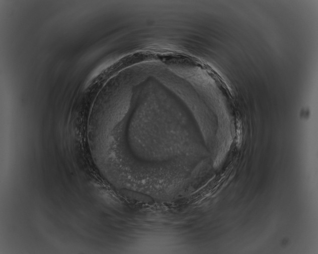 X0000095670919200801151100