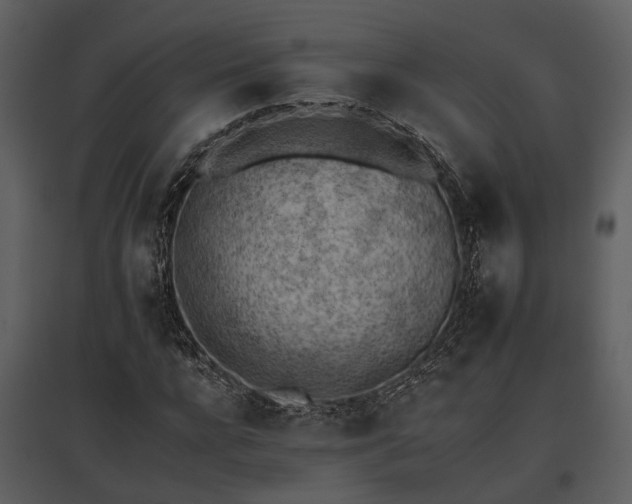 X0000095670920200801151100