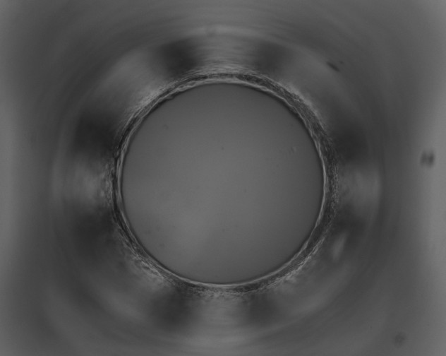 X0000095670921200801151100