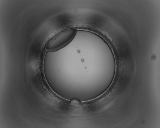 X0000095670922200801151100