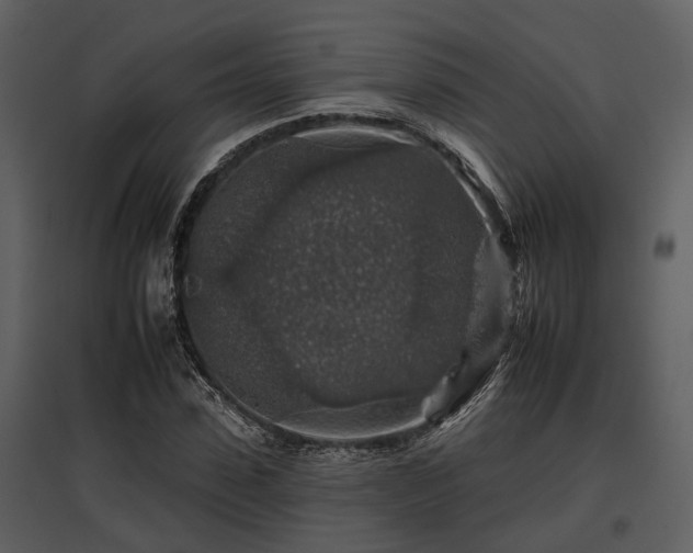 X0000095670923200801151100