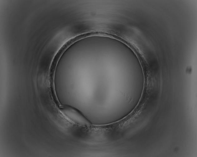 X0000095670924200801151100