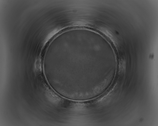 X0000095670925200801151100