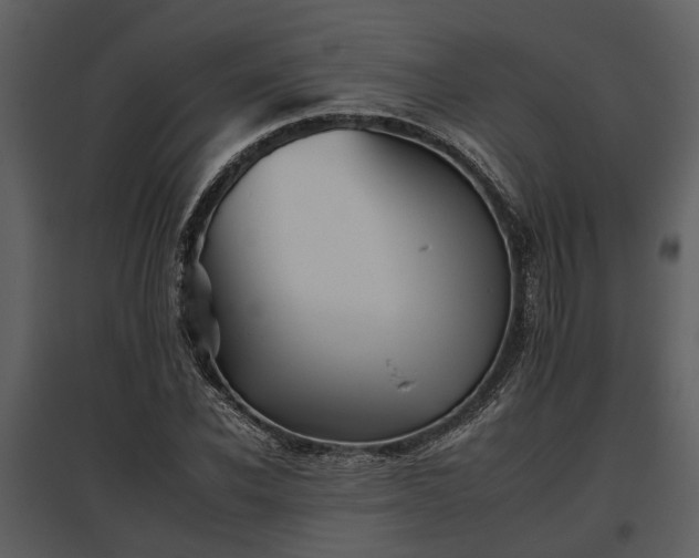 X0000095670926200801151100