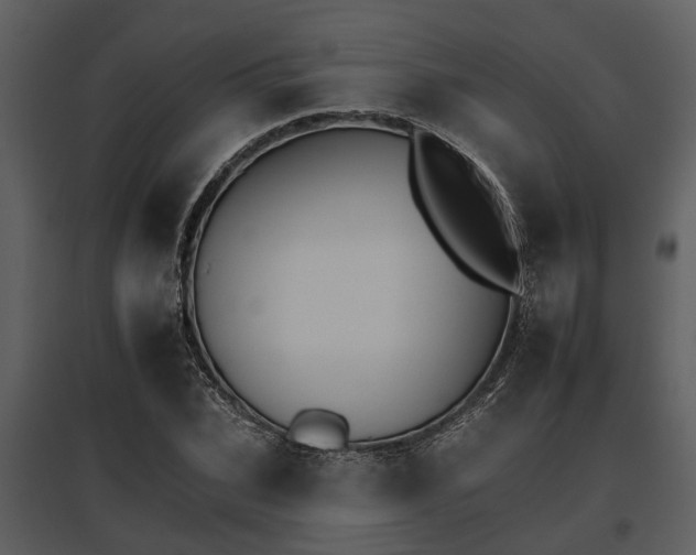 X0000095670927200801151100