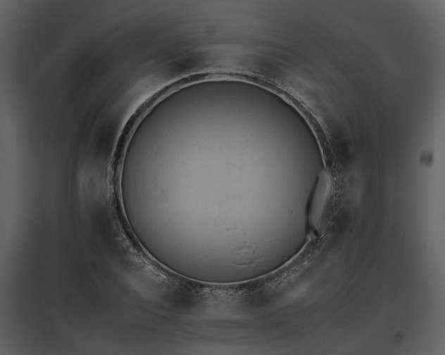 X0000095670928200801151100