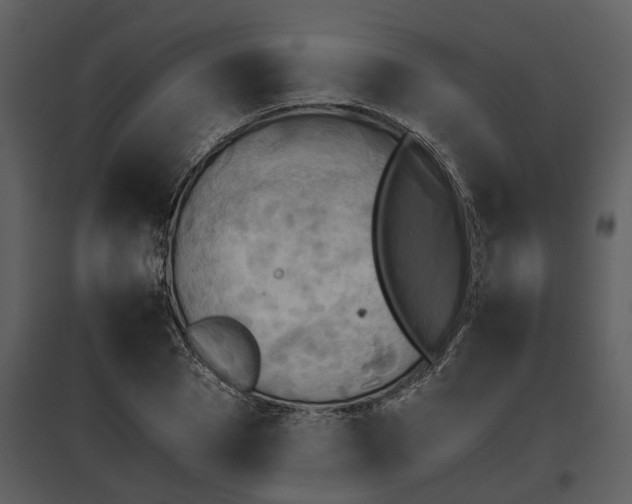 X0000095670929200801151100