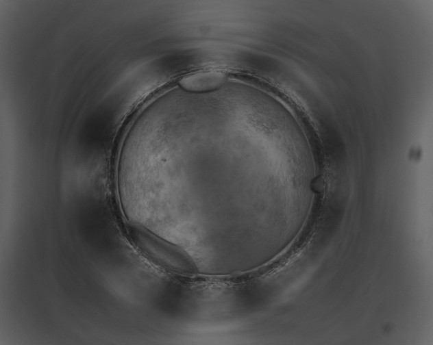 X0000095670930200801151101