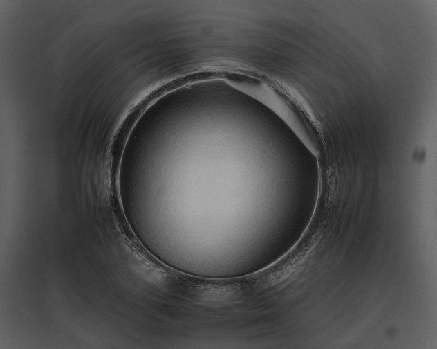 X0000095670931200801151101