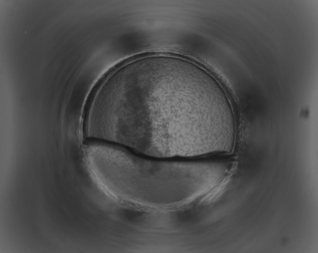 X0000095670932200801151101