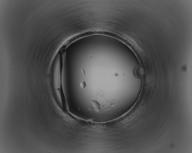 X0000095670934200801151101