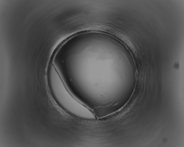 X0000095670936200801151101