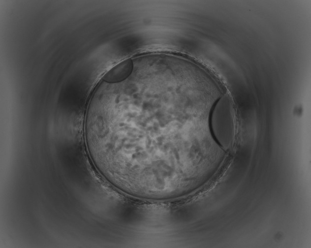 X0000095670937200801151101