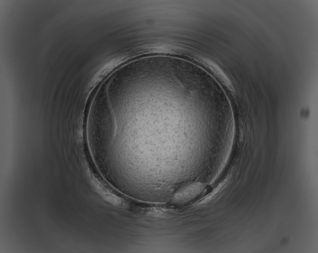 X0000095670938200801151101