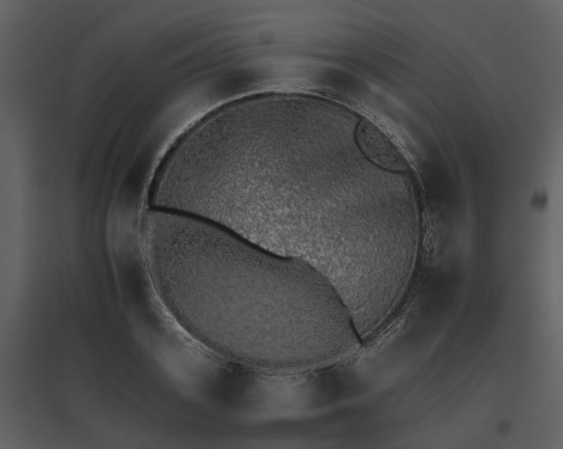 X0000095670939200801151101