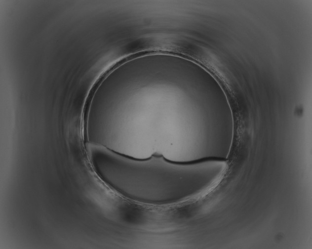 X0000095670940200801151101