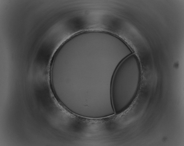 X0000095670941200801151101