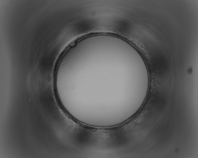 X0000095670942200801151101