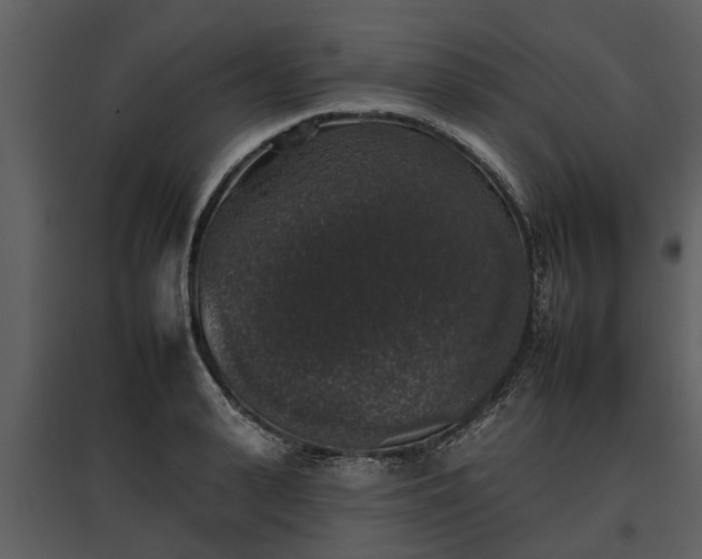 X0000095670943200801151101