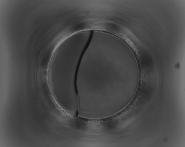 X0000095670944200801151101