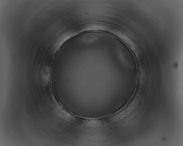 X0000095670945200801151101